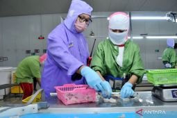 PT BMI evaluasi sistem produksi usai insiden 19 pekerja