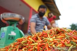 Harga pangan Sabtu ini, cabai rawit Rp74.550/kg dan telur ayam Rp30.100/kg