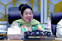 Titiek meminta bawang putih capai swasembada secepatnya tanpa impor