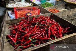 Harga pangan Kamis ini, cabai rawit Rp70.400/kg dan telur ayam Rp29.750/kg