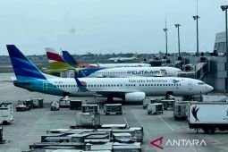 Gov't works to keep air tickets affordable amid rising fuel prices