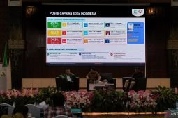 Indonesia's SDGs completion level higher than global average: Ministry