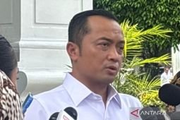 Gov't to follow legal procedures after Karim's detention: Minister