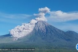 Semeru erupsi disertai awan panas guguran sejauh 4,5 km