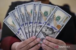 BI: Cadev Mei turun ke 144,9 miliar dolar AS di tengah stabilisasi rupiah