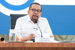 Indonesia moves to boost Java-Bali grid reliability after blackouts