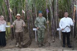 PT SGN perkuat ekosistem industri gula nasional