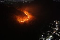 Kebakaran Gunung Gombak Ponorogo hanguskan 15 hektare hutan dan lahan