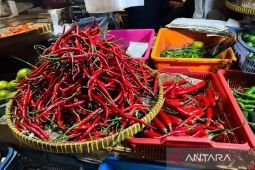Harga pangan Selasa ini, cabai rawit Rp62.150/kg dan telur ayam Rp29.100/kg