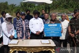 Indonesia buys domestic superior seed, raises corn output