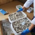 RI, China hold joint inspection of fishery products to secure exports