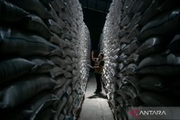 Perum Bulog miliki stok beras 5,18 juta ton per 2 Juli