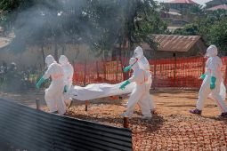 Kematian akibat Ebola di RD Kongo tembus angka 500 kasus