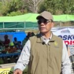 KESDM: Listrik di titik terdampak Manggarai NTT hampir pulih