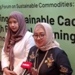 Kemenko Pangan prioritaskan penguatan hulu sawit berkelanjutan