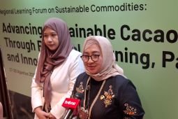 Kemenko Pangan prioritaskan penguatan hulu sawit berkelanjutan