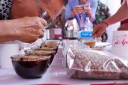 Pengembangan industri kopi lokal
