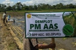 Pemkab Blitar uji coba sistem tanam PM-AAS untuk petani