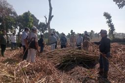 PT SGN evaluasi operasional KSO Tebu Kebun Dhoho pastikan sesuai SOP