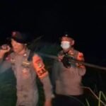 Way Kambas forest fire successfully extinguished: Lampung Police