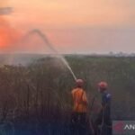 BMKG deteksi 473 titik panas di Kalsel