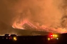 Kawasan Bromo ditutup total akibat kebakaran hutan