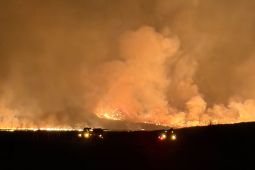 Forestry Minister calls for public participation to prevent wildfires