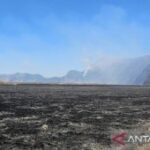 Tim gabungan tangani karhutla Bromo di area seluas 899,35 hektare