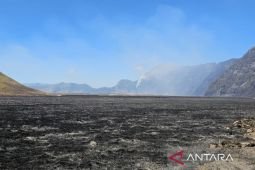 Tim gabungan tangani karhutla Bromo di area seluas 899,35 hektare