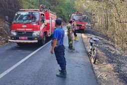 BPBD Malang: 12 hektare perkebunan jati di Gunung Geger terbakar