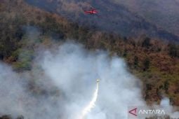 UPT Tahura Raden Soerjo siapkan dua langkah pulihkan ekosistem terbakar