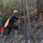 Pendakian Semeru ditutup total usai kebakaran di Blok Ranu Kembang