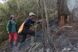 Pendakian Semeru ditutup total usai kebakaran di Blok Ranu Kembang
