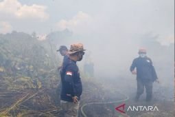Samarinda perketat pengawasan kawasan rawan kabut asap