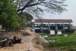 Pemkab Lamongan kendalikan distribusi air Bengawan Jero untuk pertanian