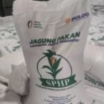 Kementan kawal SPHP jagung untuk peternak, tersalur 127 ribu ton