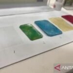 BRIN kembangkan inovasi material kayu transparan berbasis bahan hayati