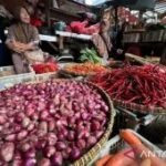 Harga pangan Jumat ini, cabai rawit Rp73.700/kg dan telur ayam Rp28.350/kg