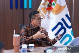 Danantara, BP BUMN finalize five-year roadmap for SOE transformation
