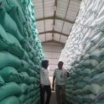 Serapan beras Bulog Tulungagung capai 63.900 ton hingga Agustus