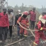 Gov’t to add hydrant wells fighting peatland fires