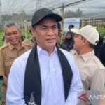 Amran: Stok beras Indonesia 5,1 juta ton, aman hadapi El Nino
