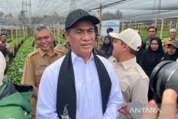 Amran: Stok beras Indonesia 5,1 juta ton, aman hadapi El Nino