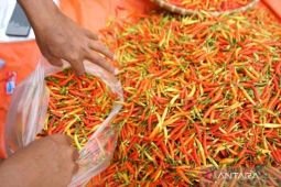 Harga pangan Sabtu ini, cabai rawit Rp59.650/kg dan telur ayam Rp29.450/kg