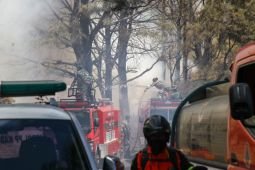 Pemkab Pasuruan siagakan enam damkar padamkan karhutla TNBTS