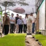 Menteri PPN tegaskan pentingnya inovasi terapan untuk ketahanan pangan
