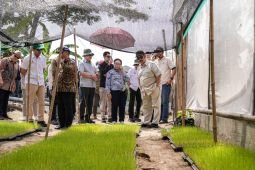 Menteri PPN tegaskan pentingnya inovasi terapan untuk ketahanan pangan