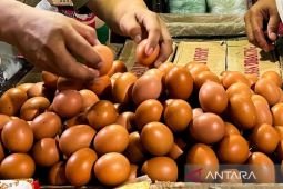 Mendag dorong penyerapan telur agar harga kembali Rp30 ribu per kg