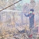 Kemenhut: Pemegang PBPH wajib lakukan langkah ekstra tangani karhutla