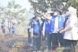 Menteri LH: Tidak ada toleransi bagi pelaku pembakar lahan